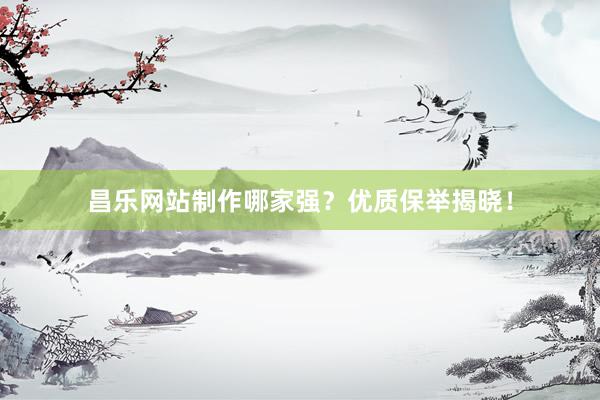 昌乐网站制作哪家强？优质保举揭晓！